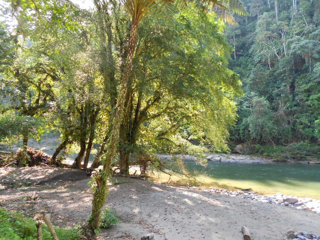 Playaselva Reserva Biologica Archidona Luaran gambar