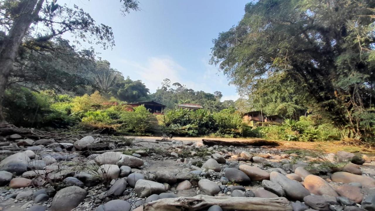 Playaselva Reserva Biologica Villa Archidona Luaran gambar