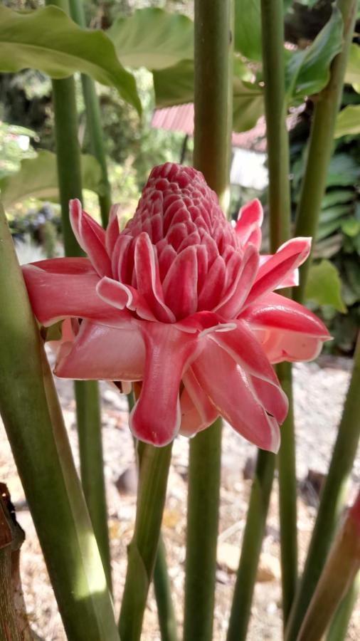 Playaselva Reserva Biologica Archidona Luaran gambar