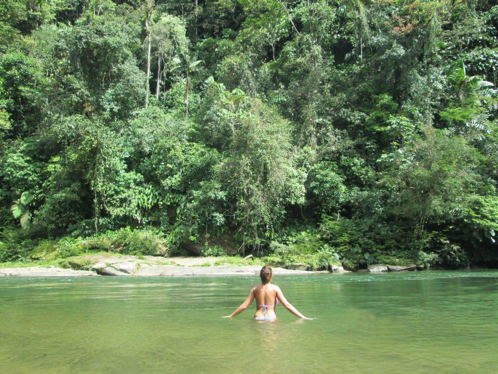 Playaselva Reserva Biologica Villa Archidona Luaran gambar