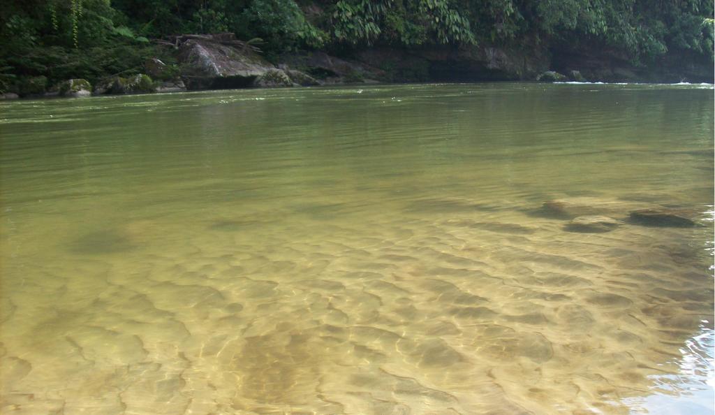 Playaselva Reserva Biologica Villa Archidona Luaran gambar