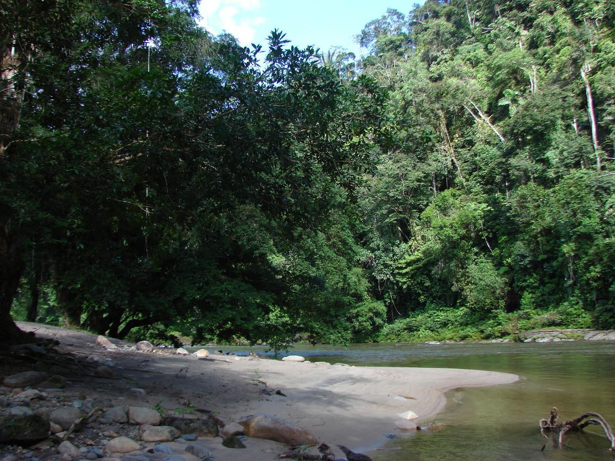 Playaselva Reserva Biologica Villa Archidona Luaran gambar