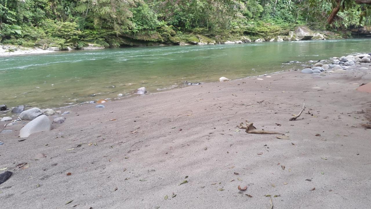 Playaselva Reserva Biologica Archidona Luaran gambar